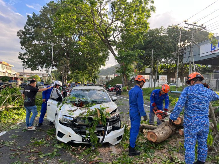 Dua beranak alami kecederaan kereta dihempap pokok