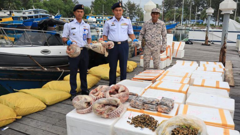 Cubaan seludup ‘menu eksotik’ ke negara jiran gagal – Maritim Kudat