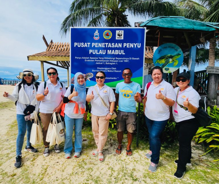 Sawit Kinabalu laksana inisiatif konservasi terumbu karang, Penyu di Pulau Mabul