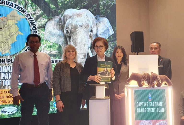 Dua gajah mati dibunuh, pihak berkuasa giat kesan suspek pemburu haram