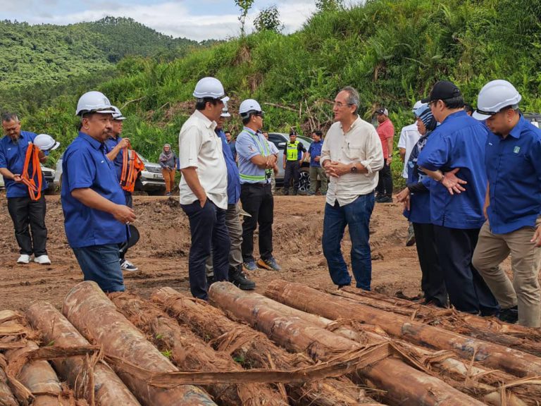 SSB nafi dakwaan eksport kayu eucalyptus beri kesan negatif