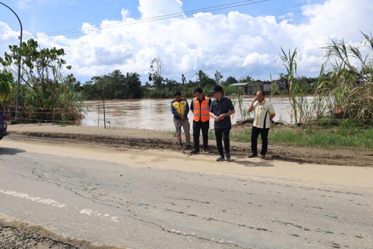 Jalan Lumatai kian terhakis, perlu tindakan segera