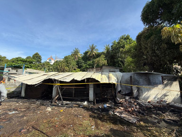 Dua maut dalam kebakaran rumah di Kg Pulau Penampang