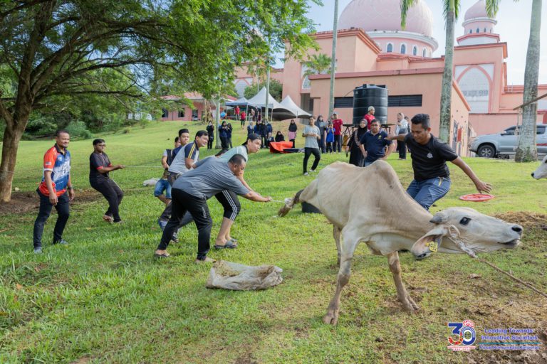 Kakitangan, pelajar UMS gotong-royong jayakan ibadah korban