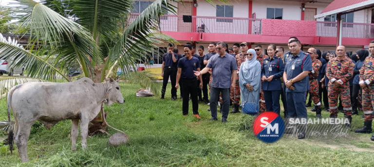 ADUN Apas sampaikan sumbangan 23 ekor lembu korban sempena Aidiladha