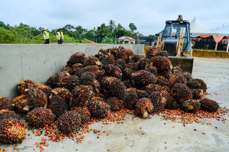 PMS Buka Ruang Penyelesaian Adil Kepada Peneroka FELDA