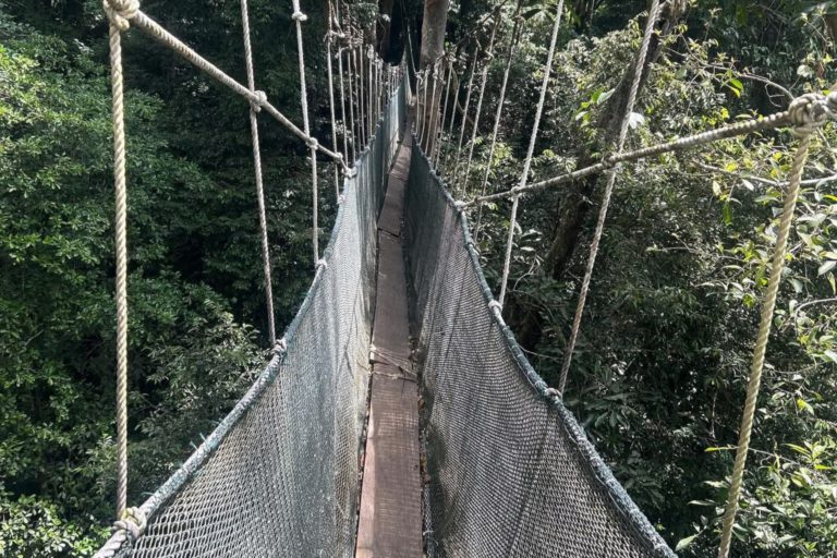 Titian kanopi Poring ditutup sementara untuk penyelenggaraan