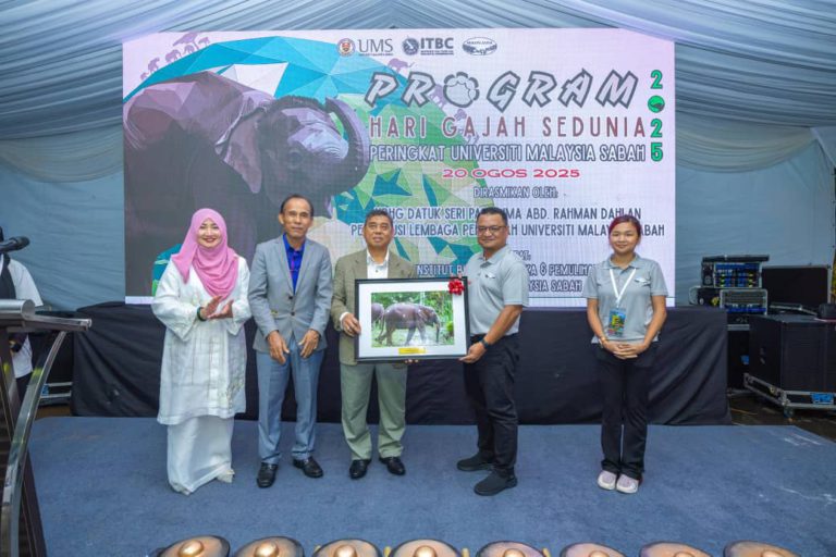 UMS tekankan pemuliharaan gajah borneo sempena hari gajah sedunia 2025