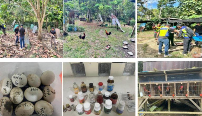 15 ditahan dalam OP Bersepadu Khazanah di Sabah – PGA