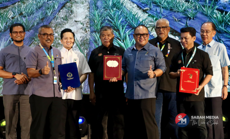 Sabah, Sarawak bakal jadi hab pengeluaran nenas negara – Mohamad Sabu