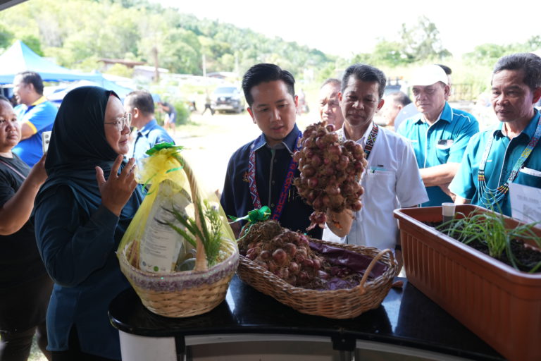 Belia pemangkin transformasi pertanian moden