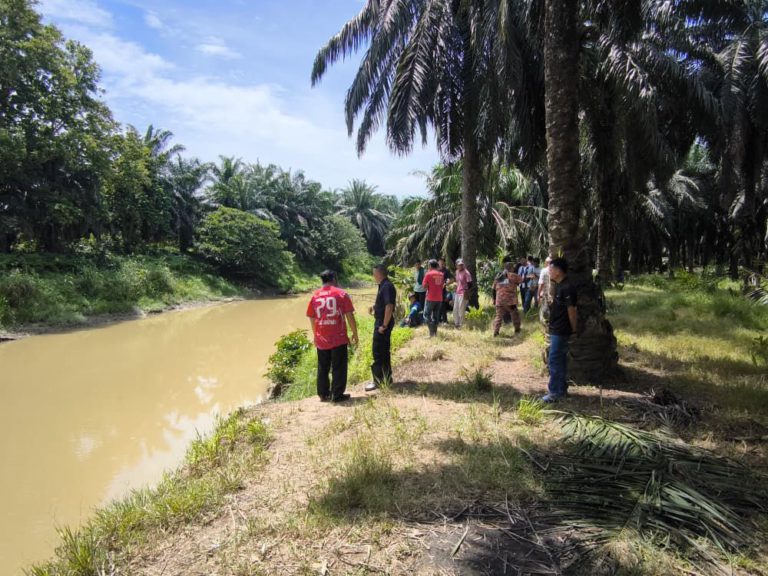 Lelaki disyaki dibaham buaya ketika baiki pukat