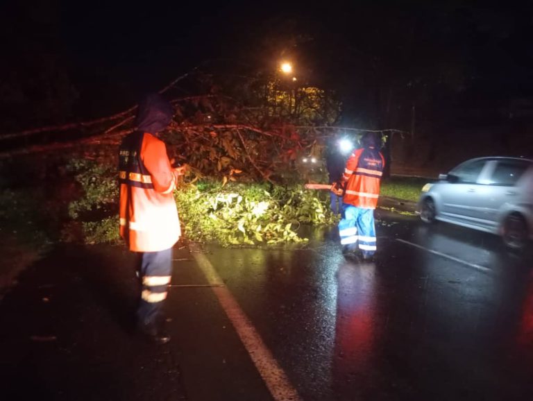 Tindakan cekap APM Sandakan atasi tujuh kes pokok tumbang, ular