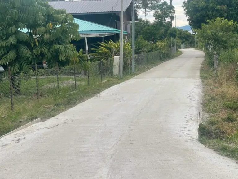 Penduduk Kg Merampong kini nikmati jalan raya konkrit