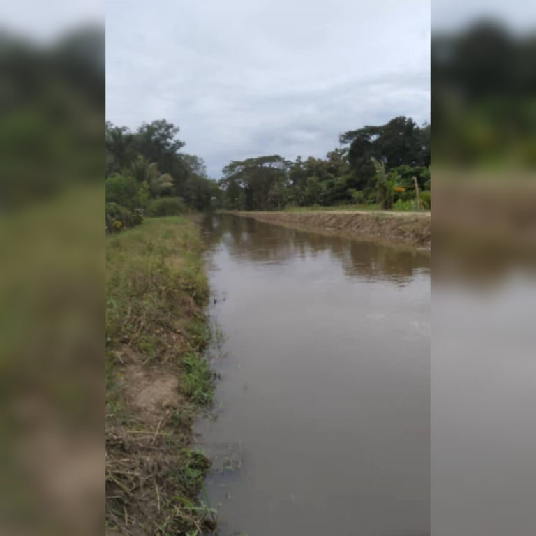 Petani Bingkor lega, sistem pengairan kembali pulih