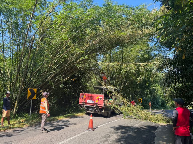 Tindakan segera pastikan keselamatan pengguna Jalan Cecily terjamin