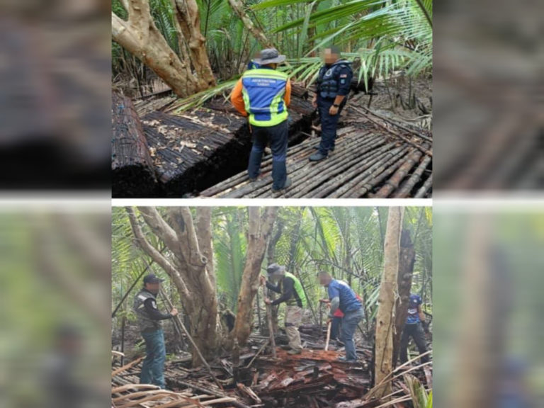 Polis Marin dan Jabatan Perhutanan rampas kulit Kayu Tangar bernilai RM70,000