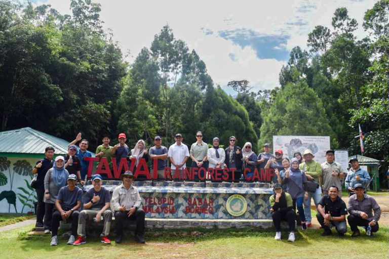 Program penanaman 100 juta pokok lancar di Telupid
