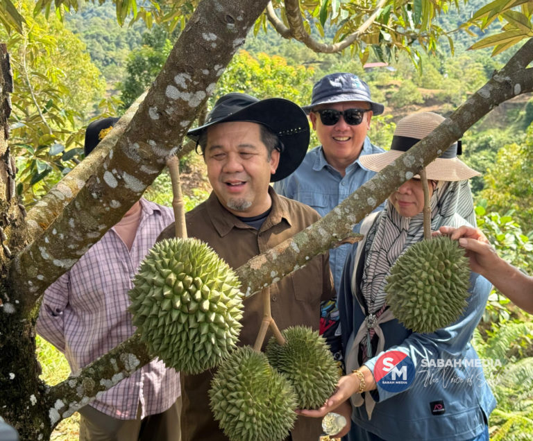 Rakyat Sabah digalak tanam durian varieti premium, sasar eksport ke China – Jamawi