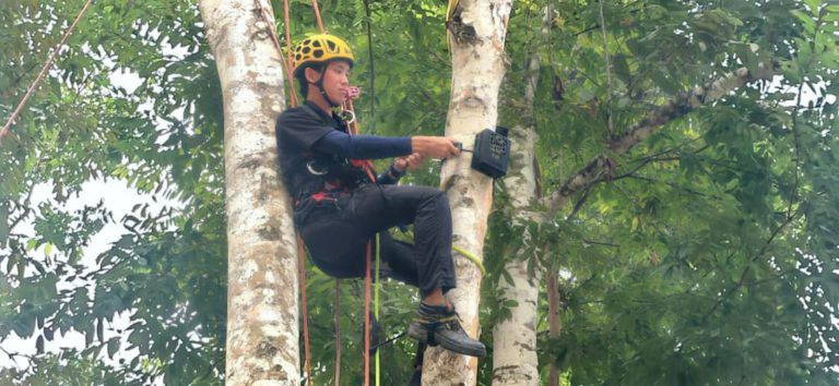 SKG Green kukuhkan usaha pemuliharaan dengan pendaki pokok sendiri