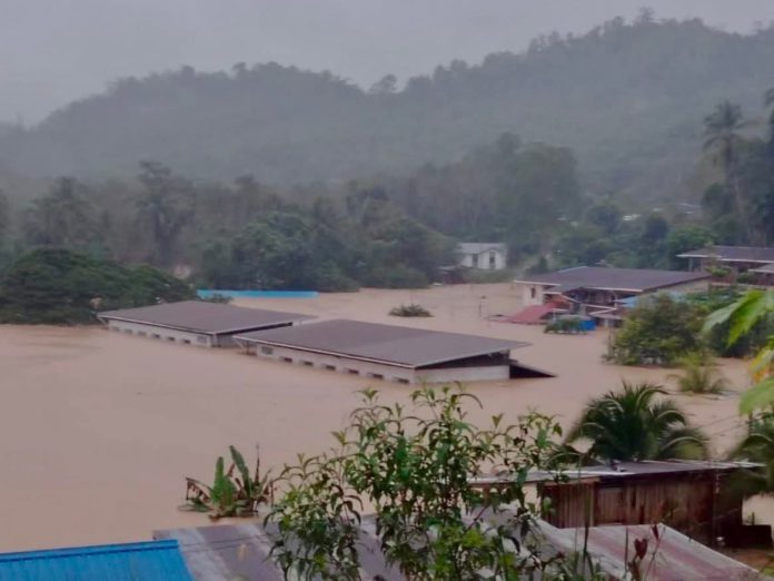 FB_IMG_1771569588468