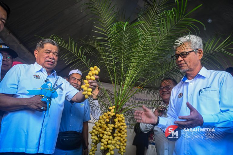 Kerajaan rangka langkah pastikan harga ikan lebih berpatutan di Semenanjung
