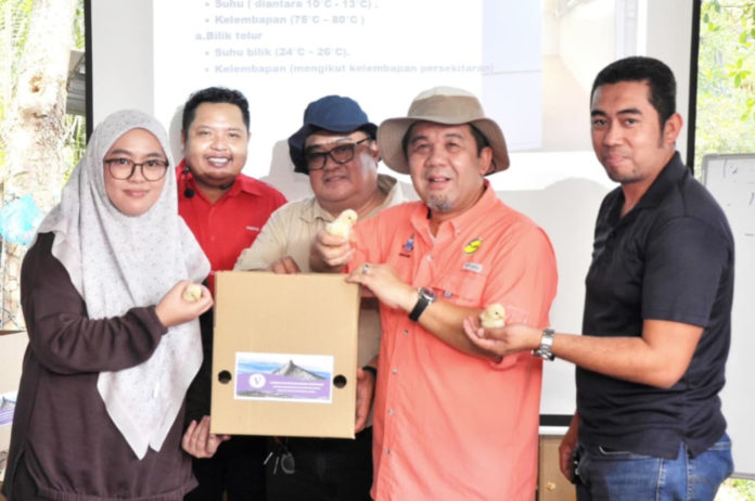 InShot_20260412_161010729