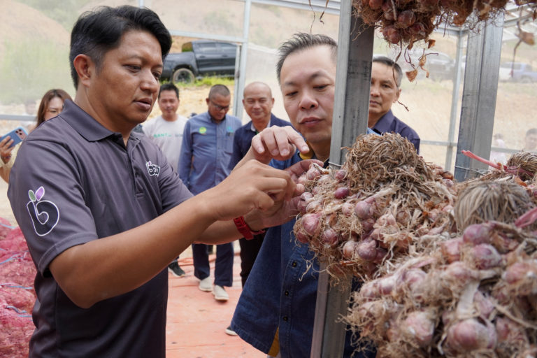 Kundasang berpotensi jadi hab pengeluaran bawang merah negara