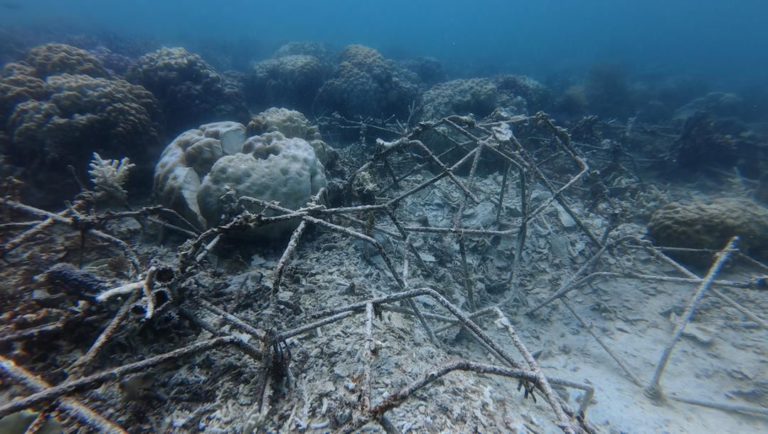 Kerajaan negeri tidak berkompromi terhadap aktiviti bom ikan di Sabah