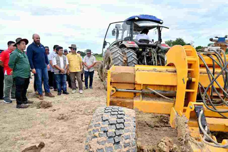 Tanam jagung bijirin, kurangkan import makanan ternakan RM800 juta setahun