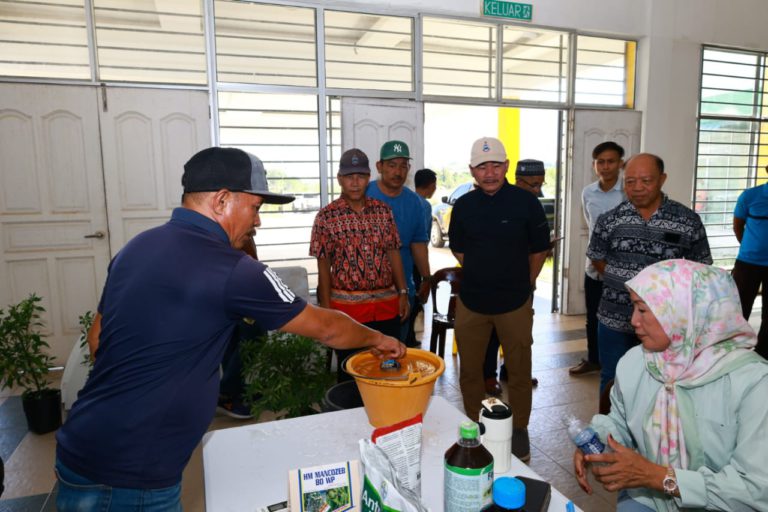 Lada bara berpotensi tambah pendapatan isi rumah penduduk