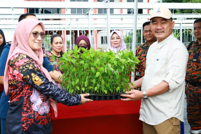 PERISMA Beaufort terima 100 pokok lada bara, rintis projek Kebun Dapur