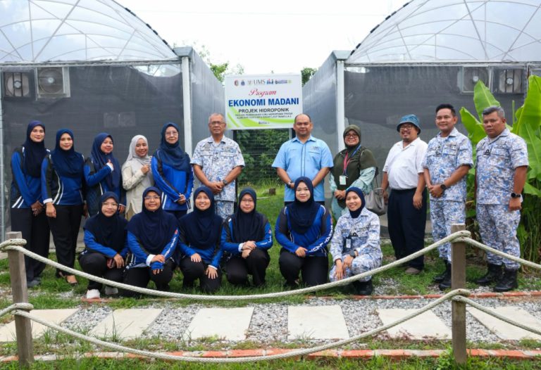 Hidroponik BAKAT MAWILLA 2 jana lebih RM4,000 pendapatan