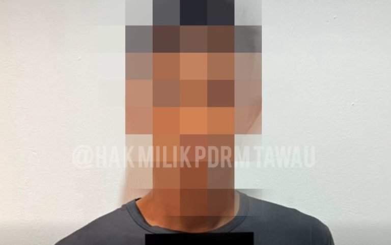 Cubaan curi 30 tandan sawit gagal, lelaki warga asing ditahan