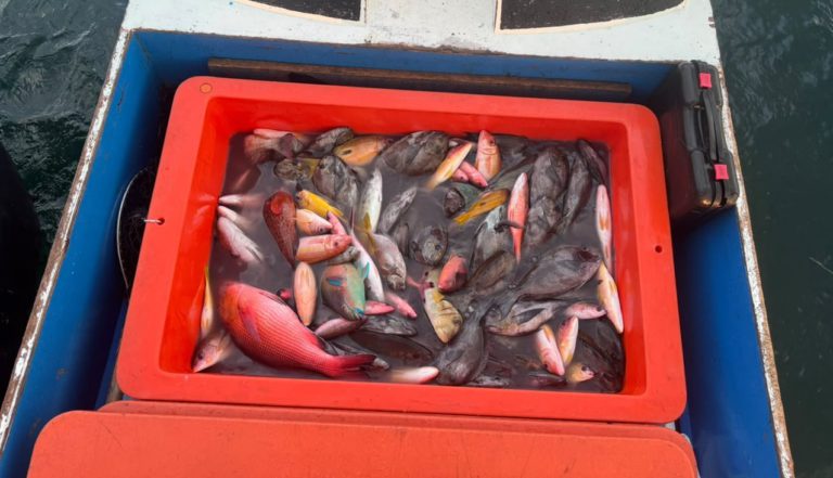 Kru lari, 80kg ikan disyaki ditangkap guna bahan letupan dirampas