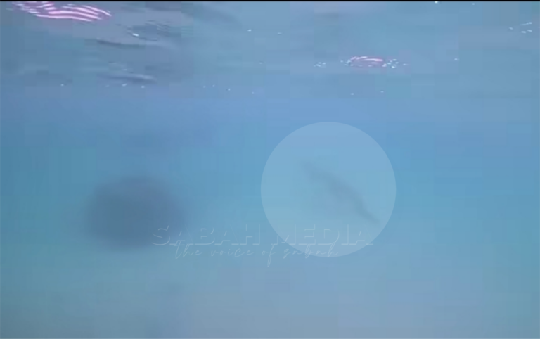 Operasi kesan buaya di Pulau Sapi dipergiat