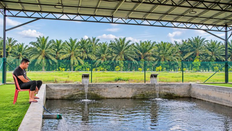 Akmal Saleh Buka bidaan X-ADV, Ikan Tilapia Untuk Bayar Ganti Rugi RM300,000